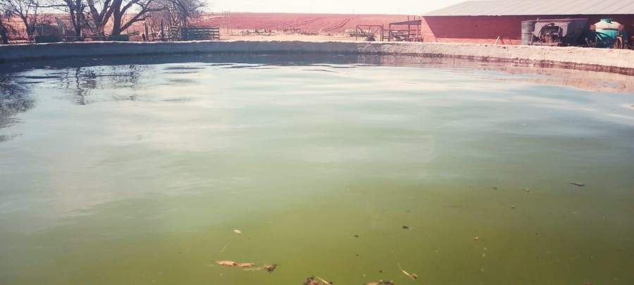 3 Bedroom Property for Sale in Bainsvlei Free State